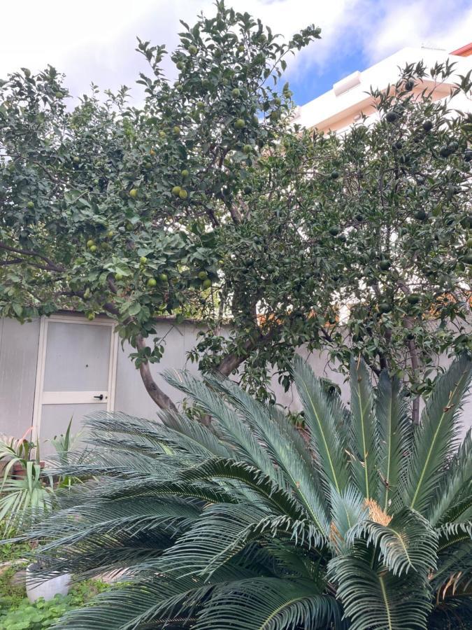Tangerine Tree House Apartment Каляри Екстериор снимка